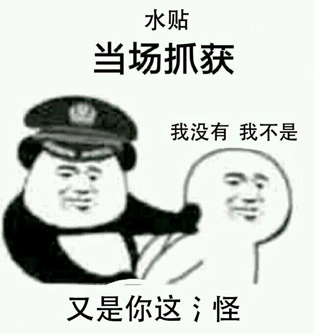 2019071376350156301315031264.jpg