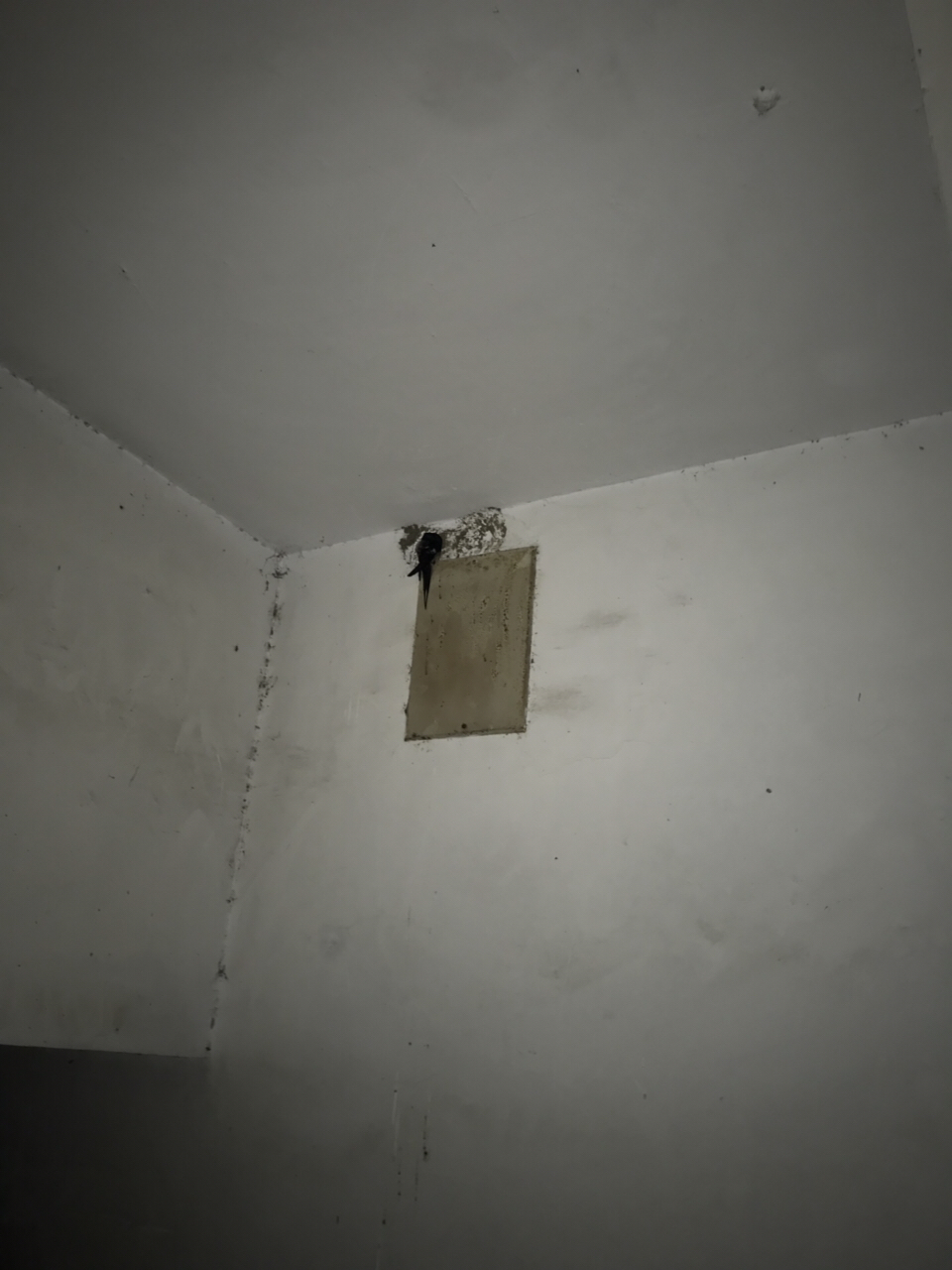 20190714128221563117128384466.jpg