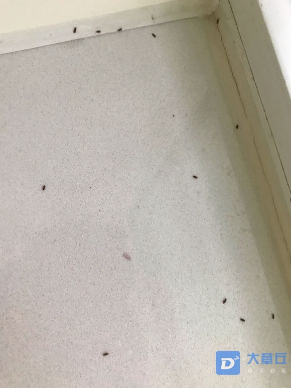 20190717_105982_1563329097238.jpg