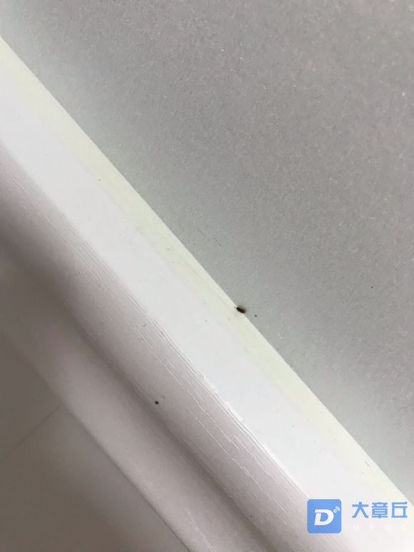 20190717_105982_1563329097194.jpg