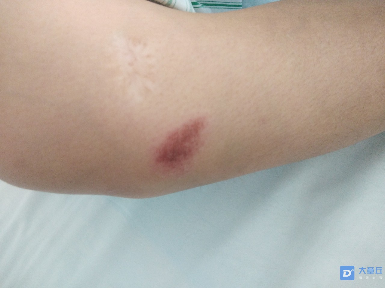 20190719_114876_1563532533778.jpg