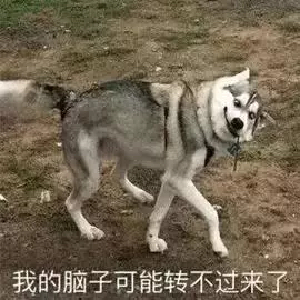 20190720763501563599148231971.jpg