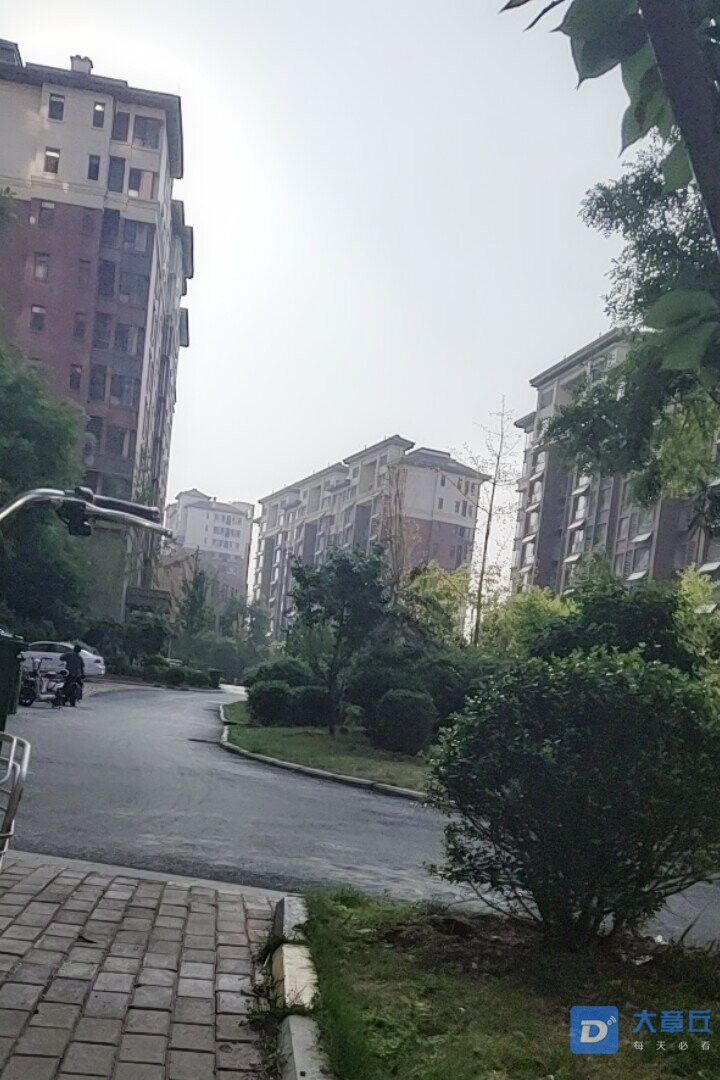 20190720_64683_1563616014684.jpg