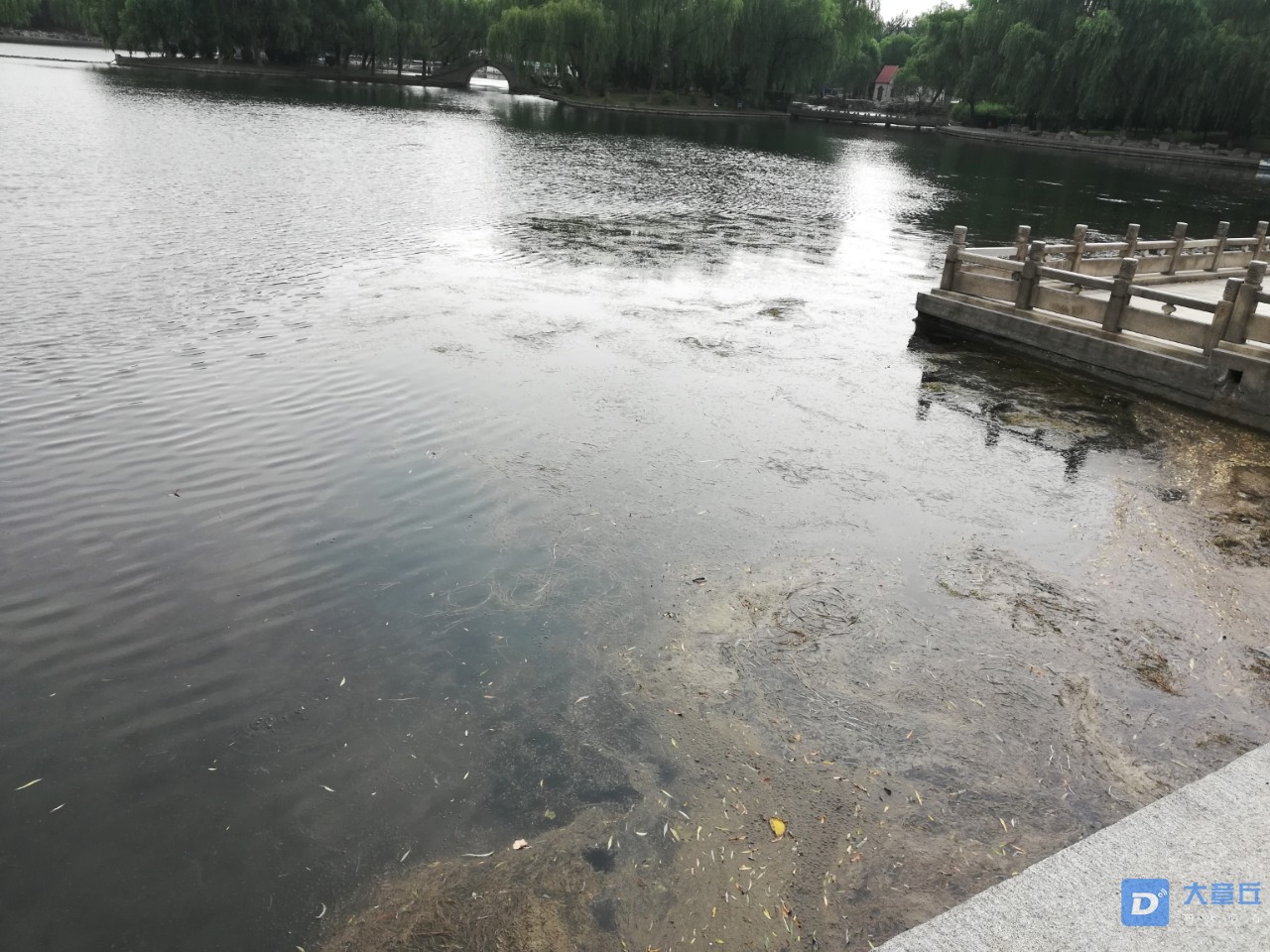 20190722_61461_1563761037529.jpg