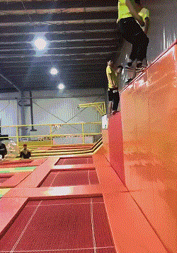 11.gif