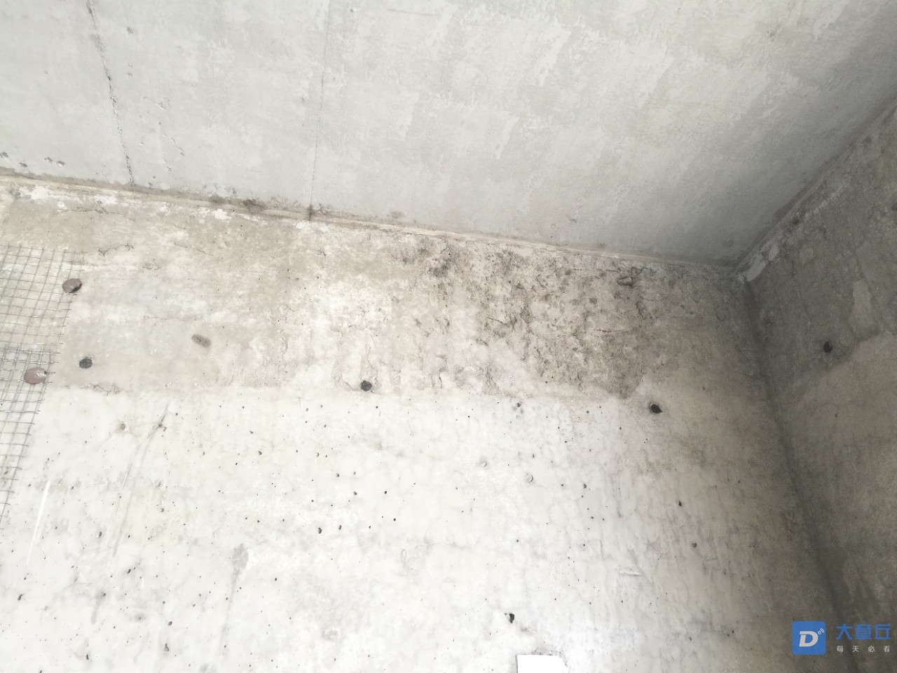 20190723_52551_1563841101593.jpg