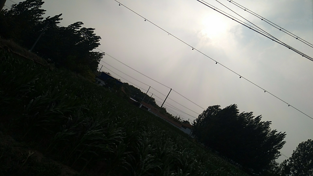20190725_3114_1564046188402.jpg