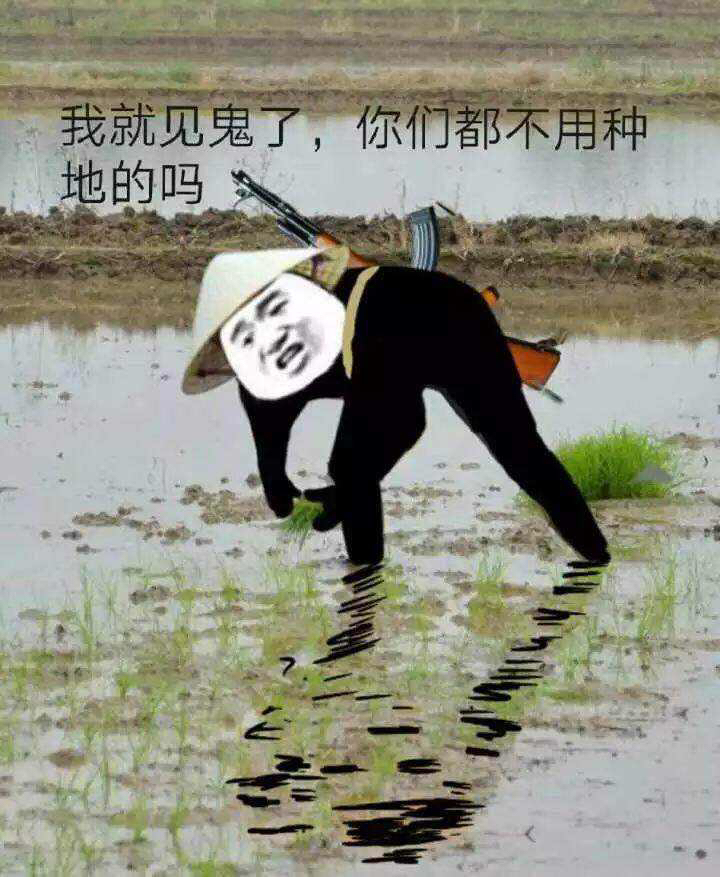 20190725763501564047454186709.jpg