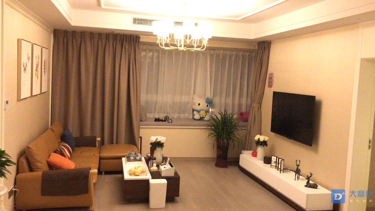 20190726_115565_1564126012235.jpg
