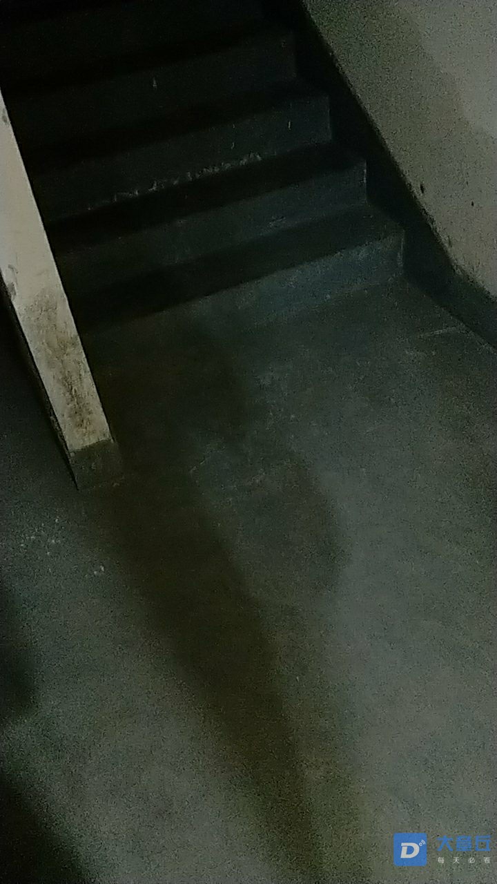20190727_18624_1564215460946.jpg