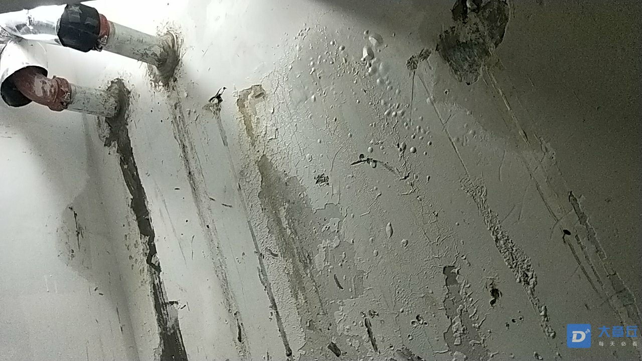 20190727_18624_1564215461014.jpg