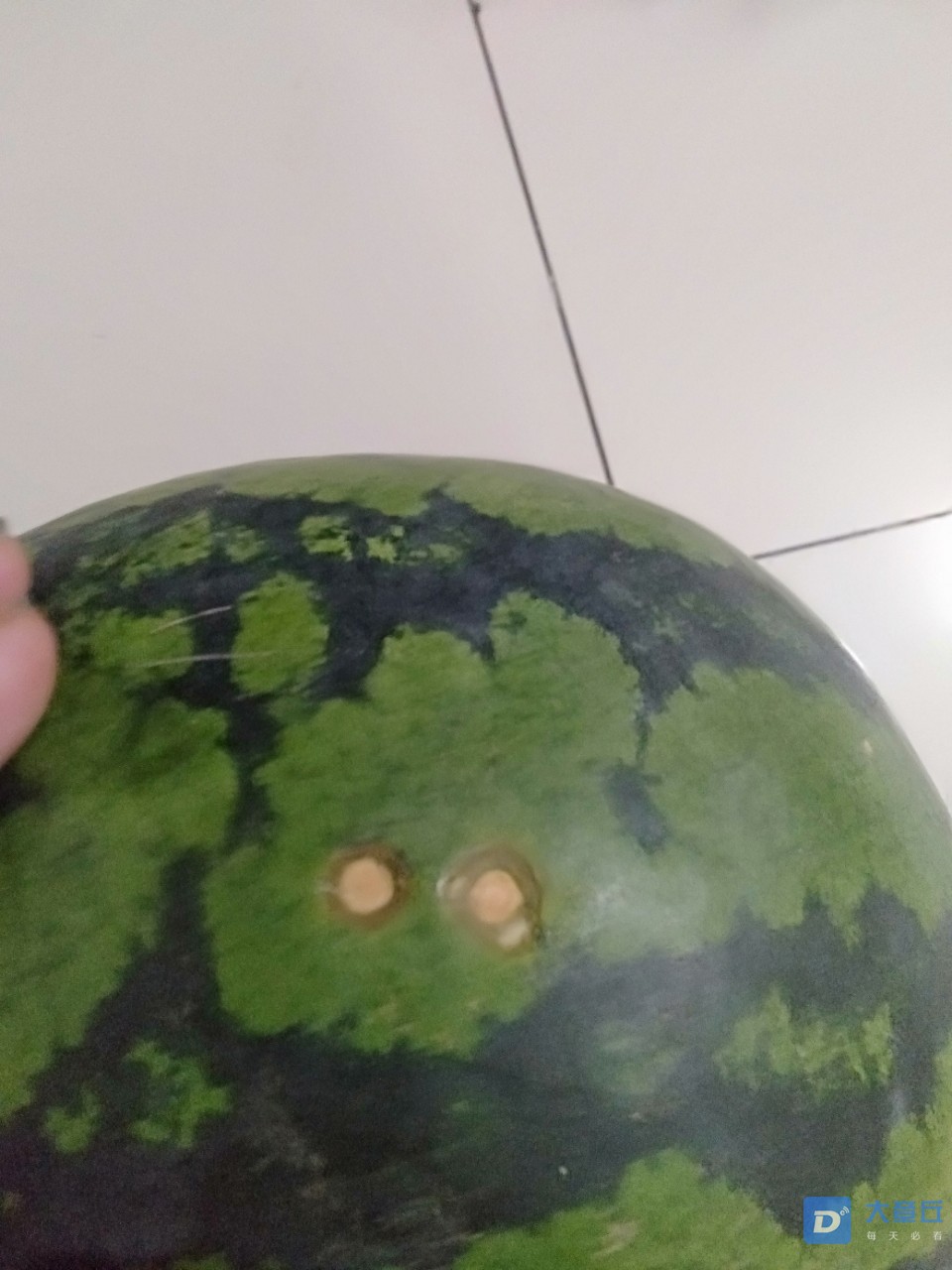 20190729_109660_1564392765311.jpg