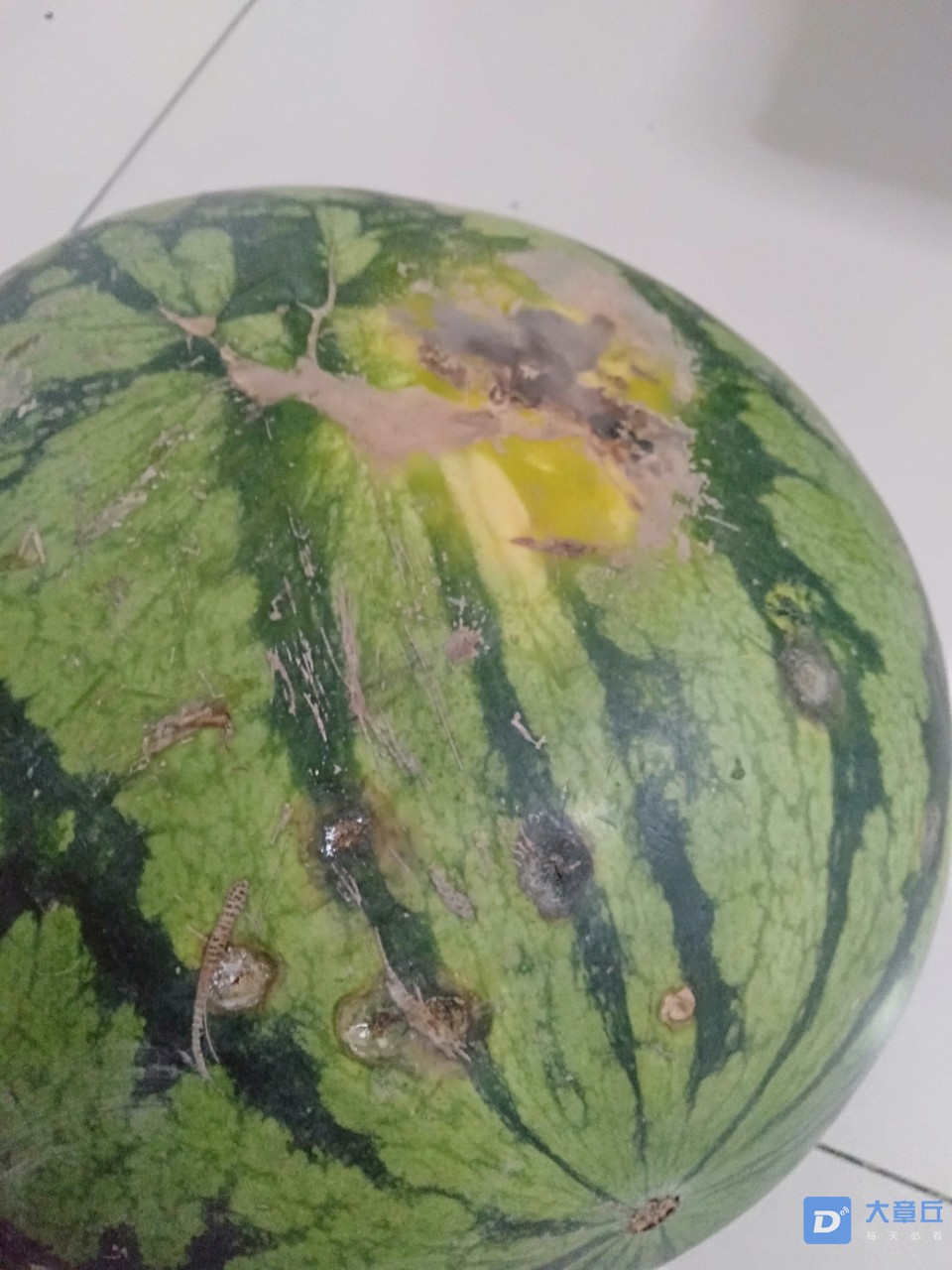 20190729_109660_1564392764766.jpg