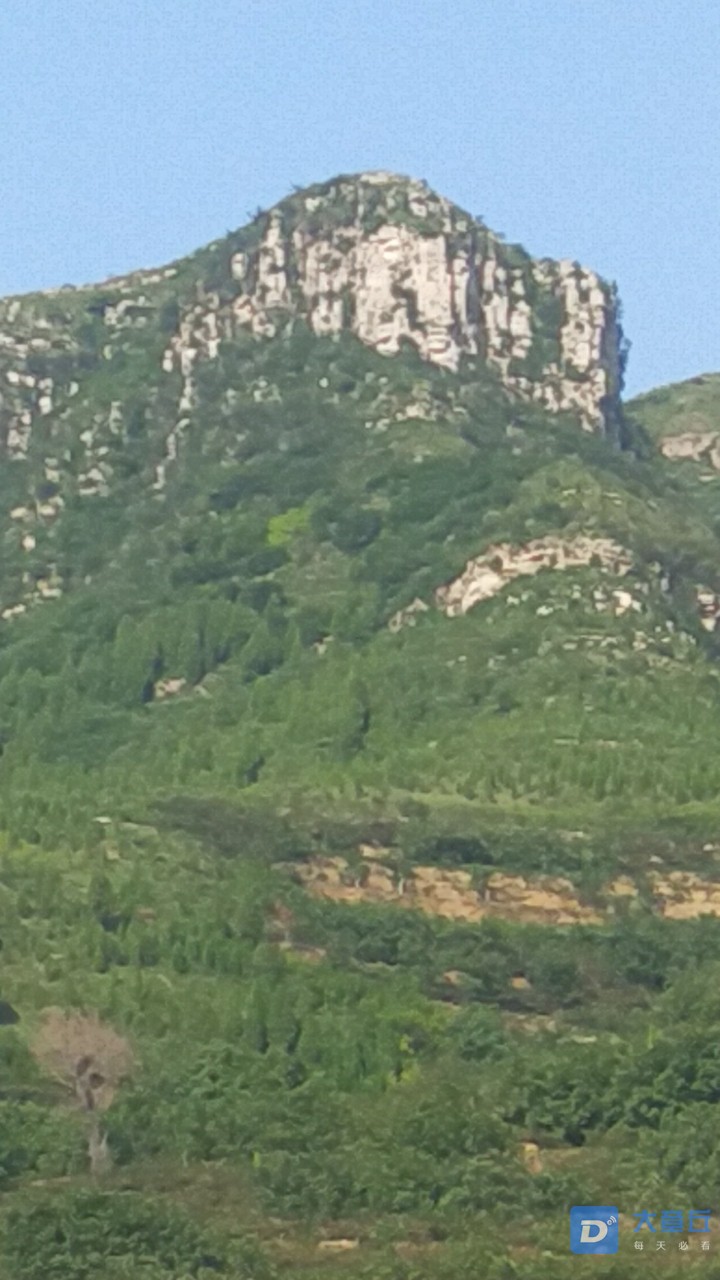 20190731_50695_1564563076048.jpg
