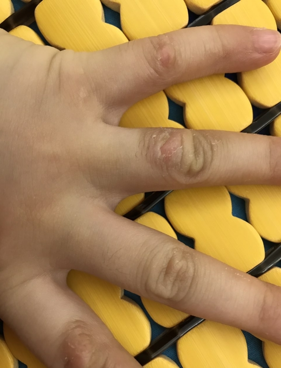 20190802_116163_1564710814156.jpg