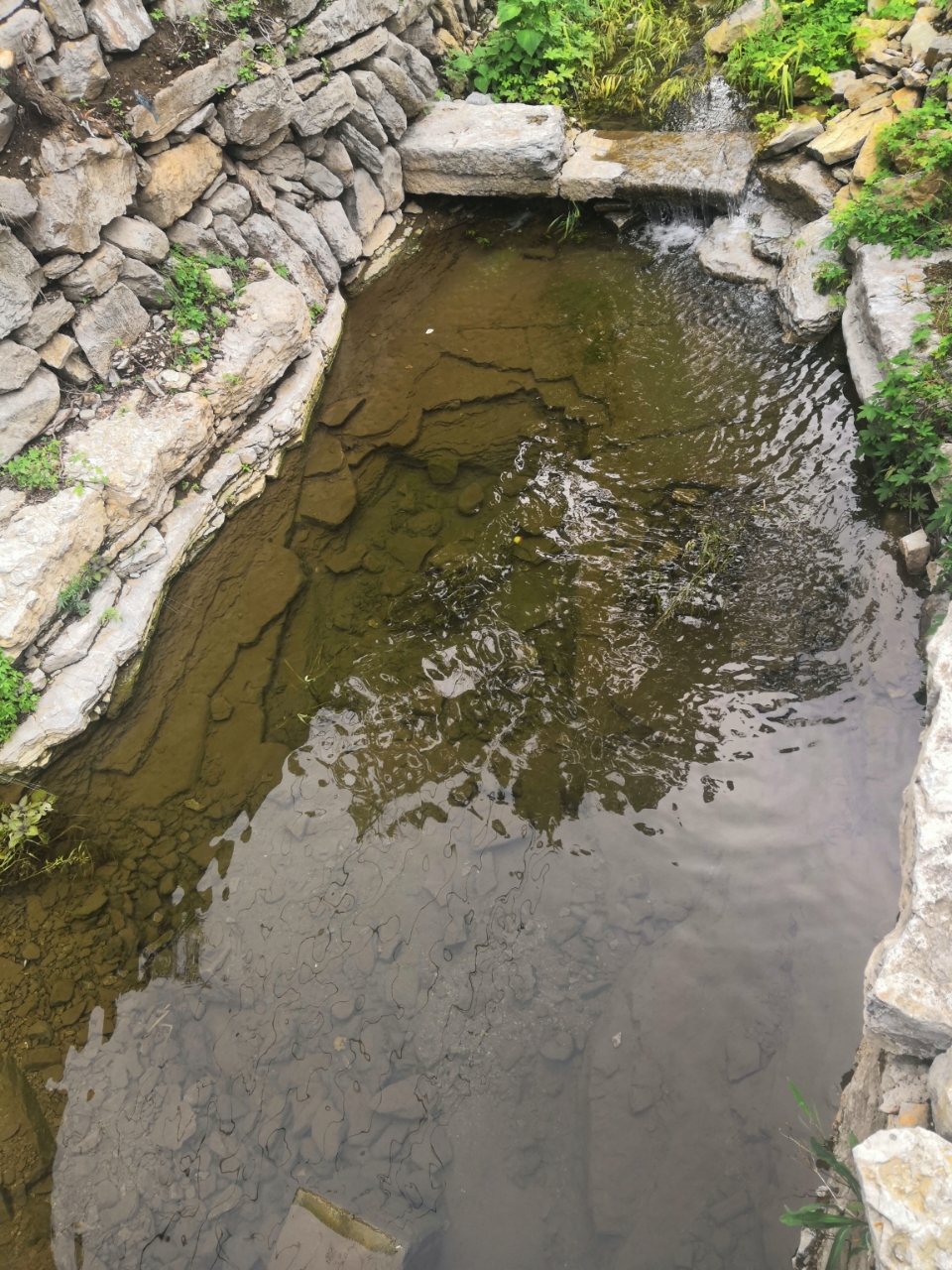 20190803_552_1564834812798.jpg