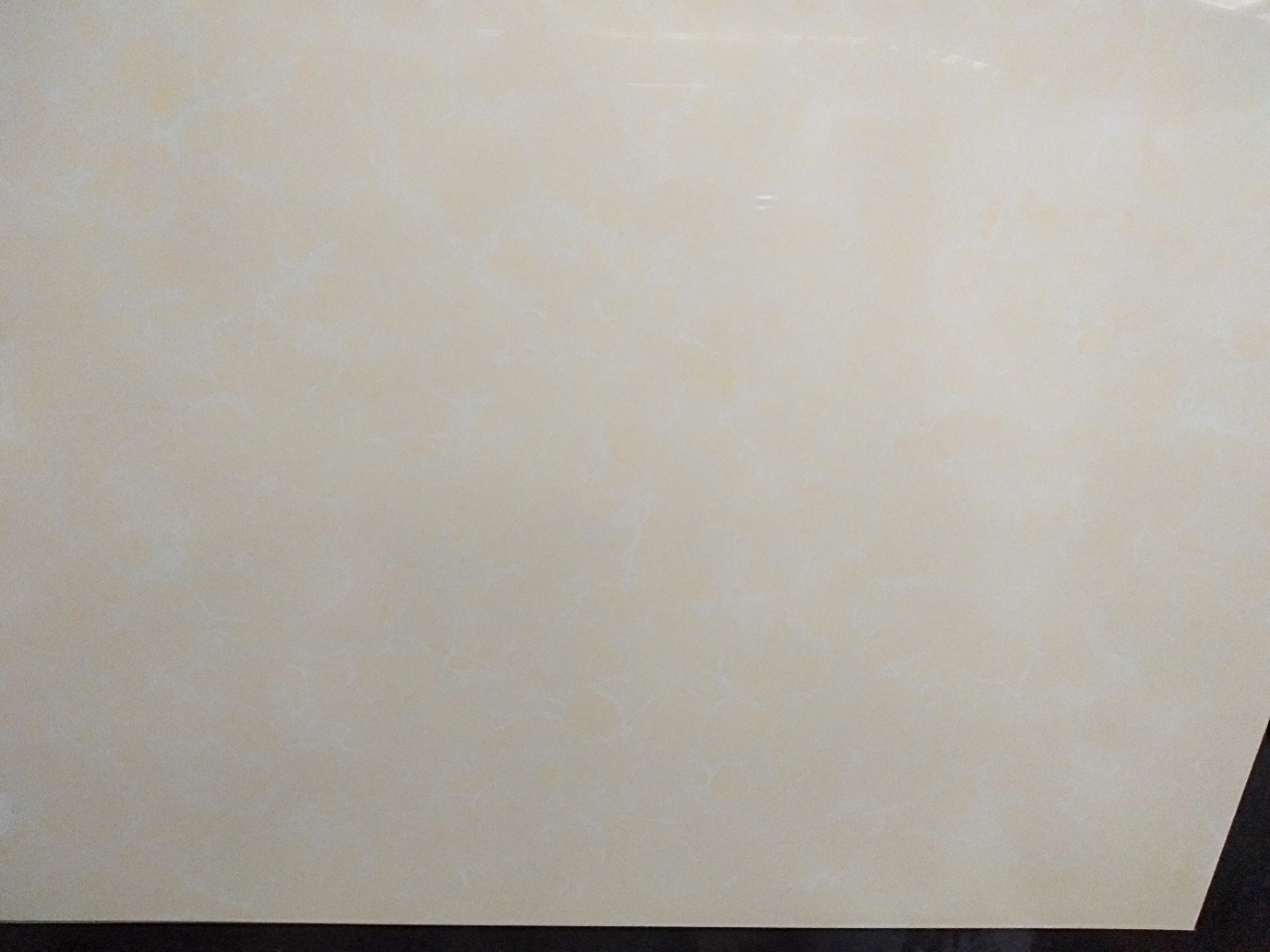 20190804_108919_1564905058346.jpg