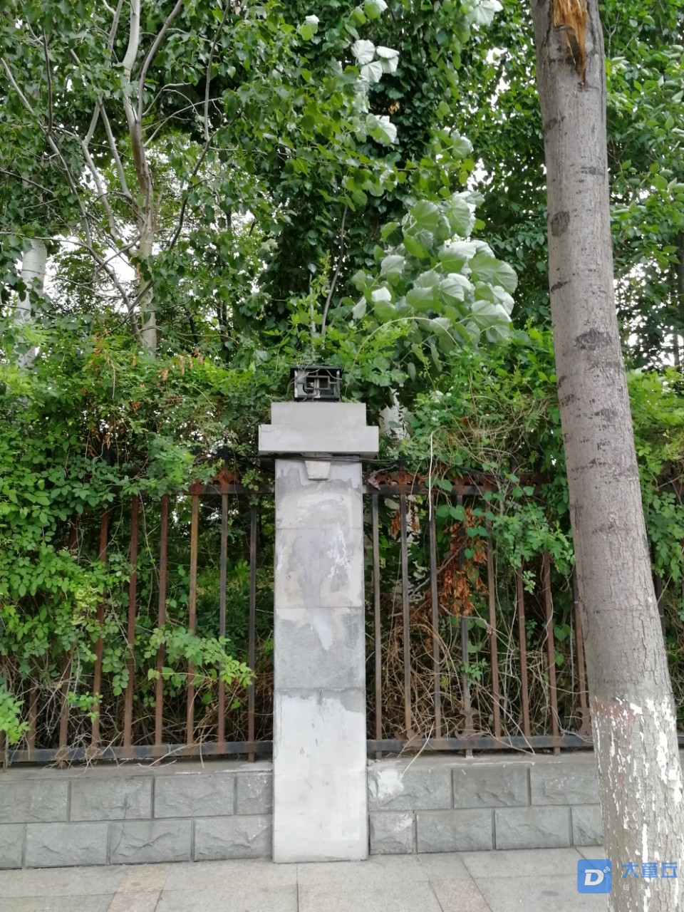 20190805_95916_1564995714713.jpg