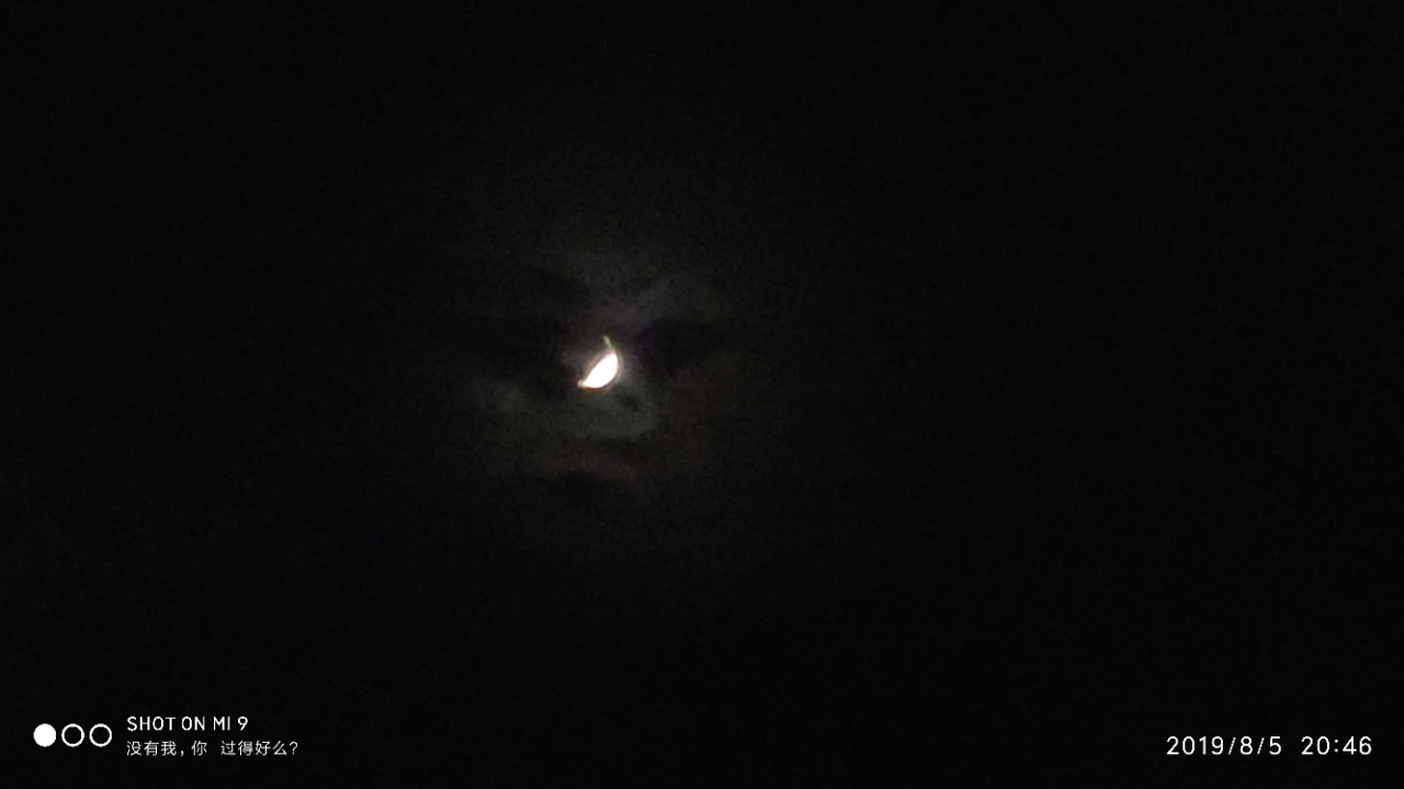 20190805_110040_1565009393089.jpg