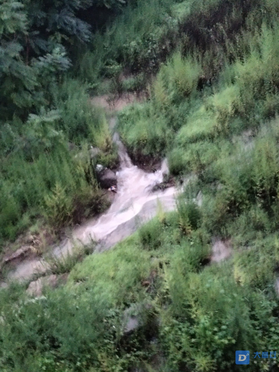 20190806_20930_1565095100630.jpg