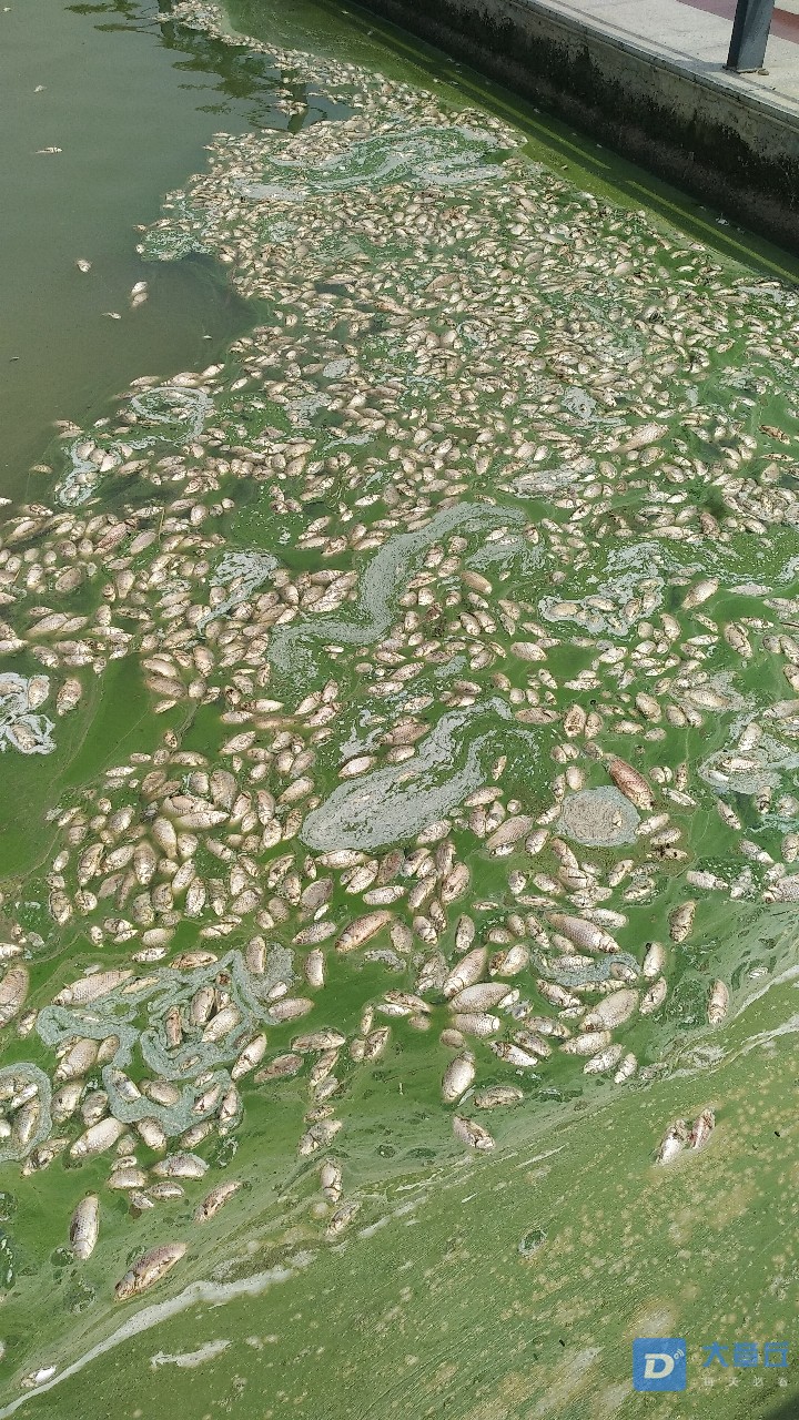 20190808_108791_1565236565641.jpg