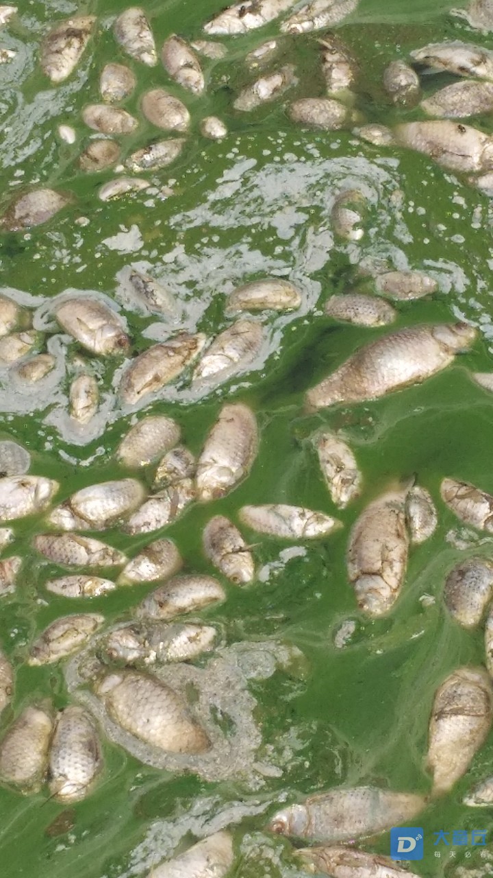 20190808_108791_1565236565166.jpg