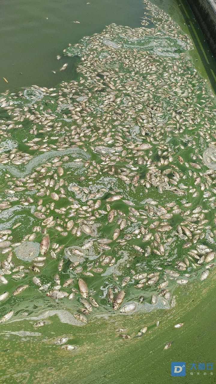 20190808_108791_1565236566212.jpg