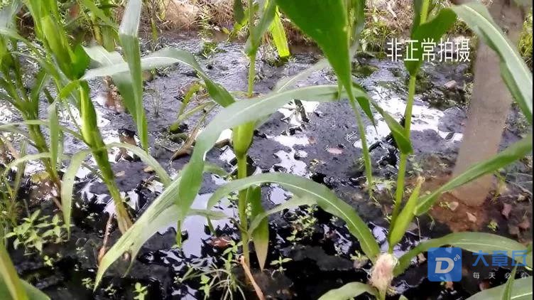 微信图片_20190808174700.jpg