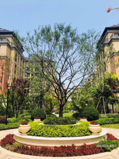 2345截图20190809095402.png