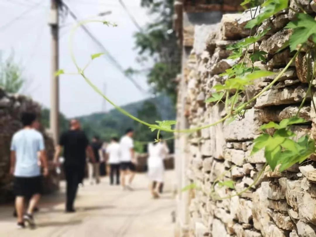 微信图片_20190809143122.jpg