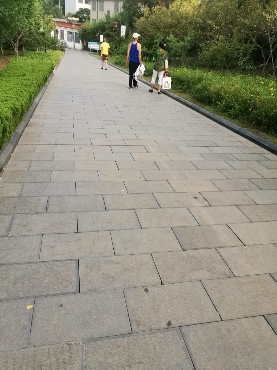 20190809_32583_1565340304177.jpg