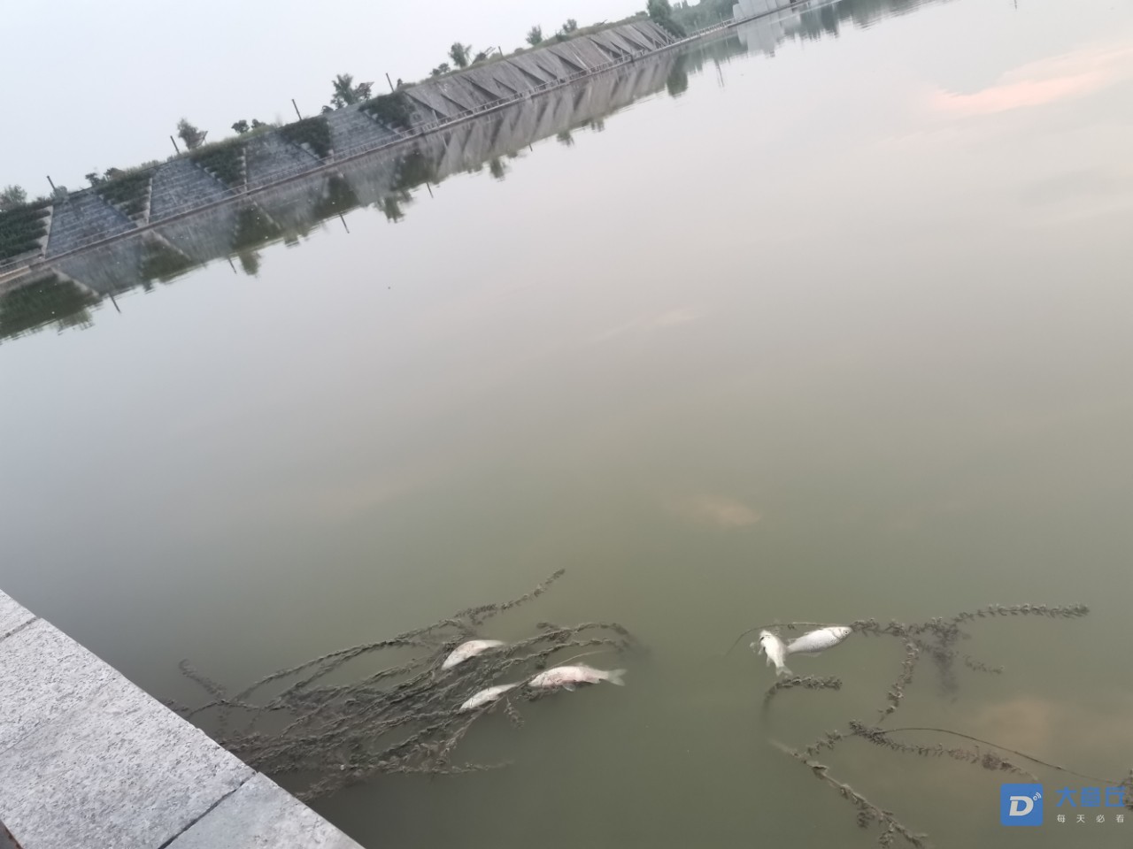 20190809_13172_1565349083781.jpg