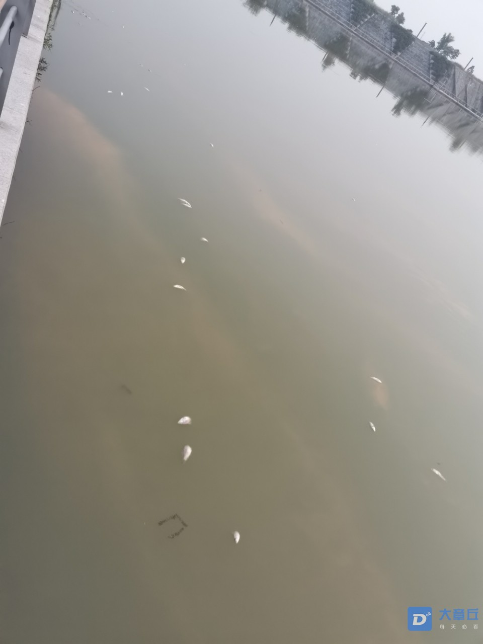 20190809_13172_1565349084452.jpg