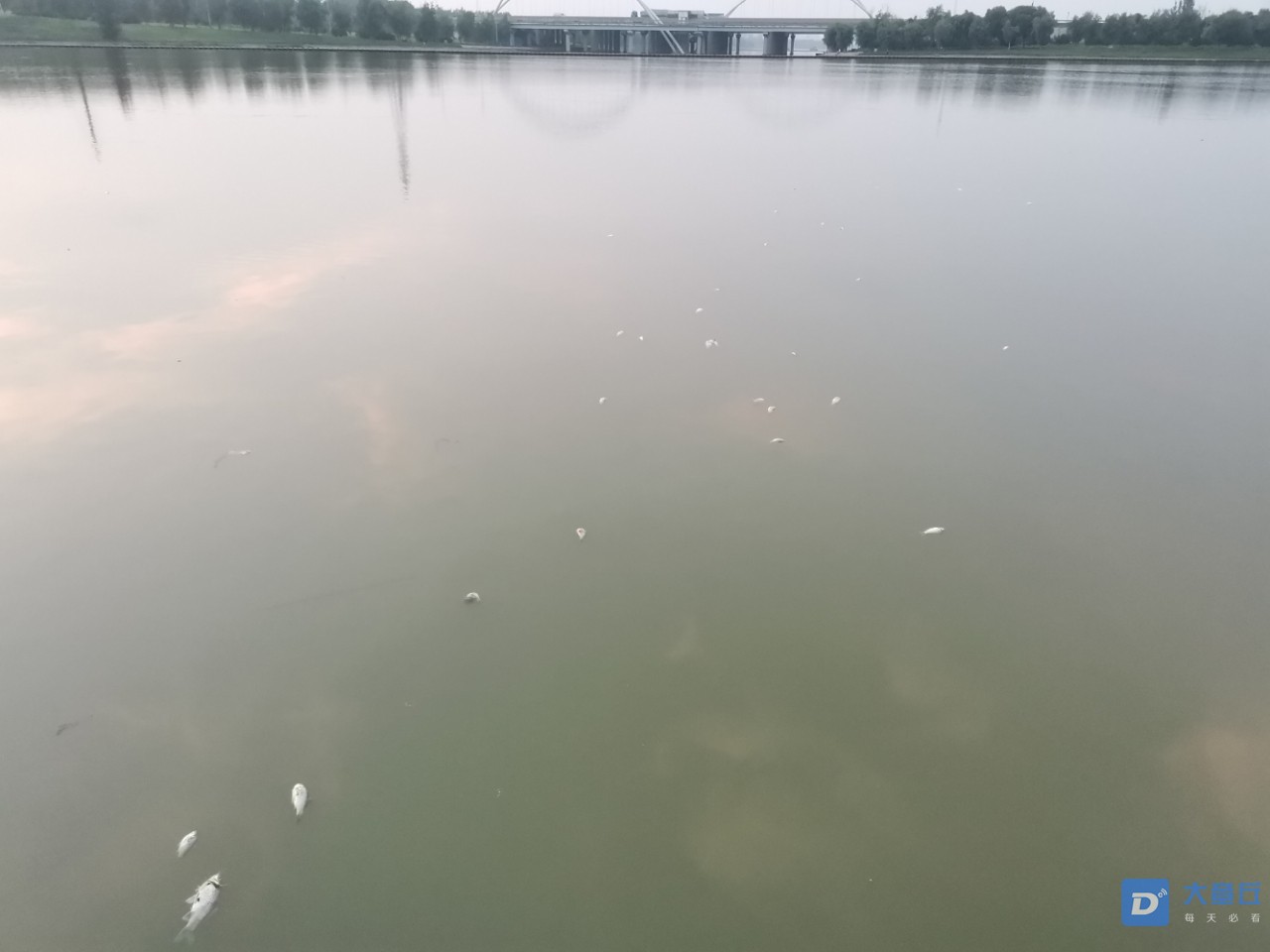 20190809_13172_1565349084047.jpg