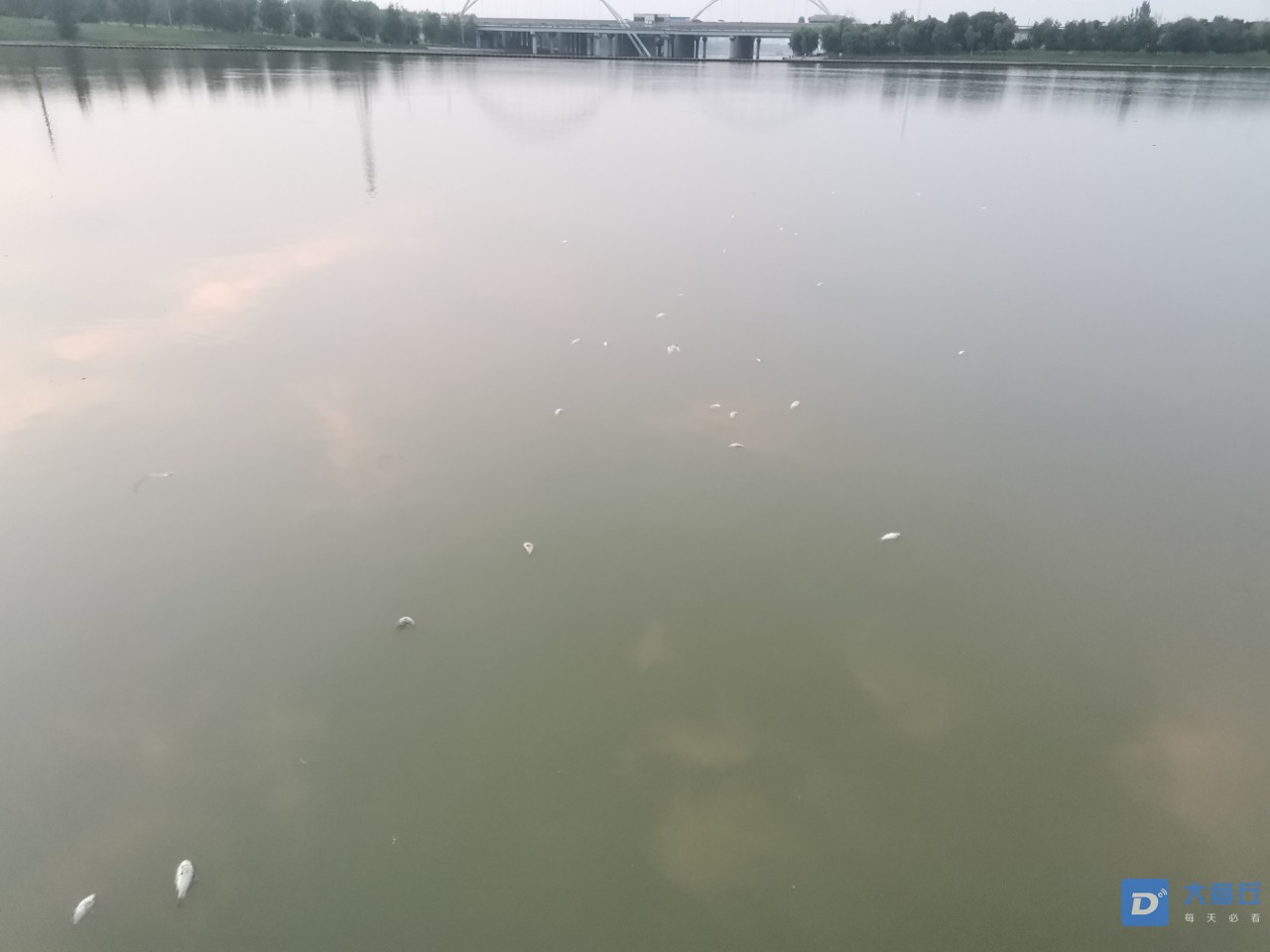 20190809_13172_1565349084325.jpg