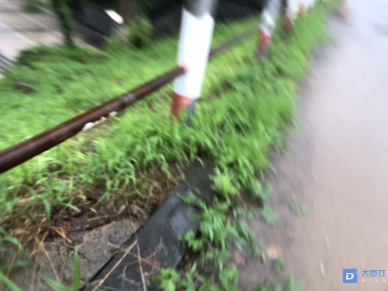 201908121172691565604505666655.jpg