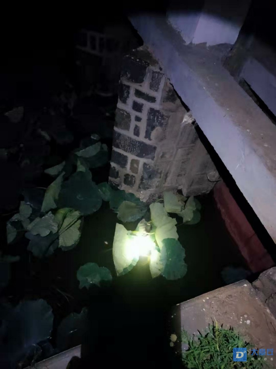 20190813_35164_1565650073412.jpg