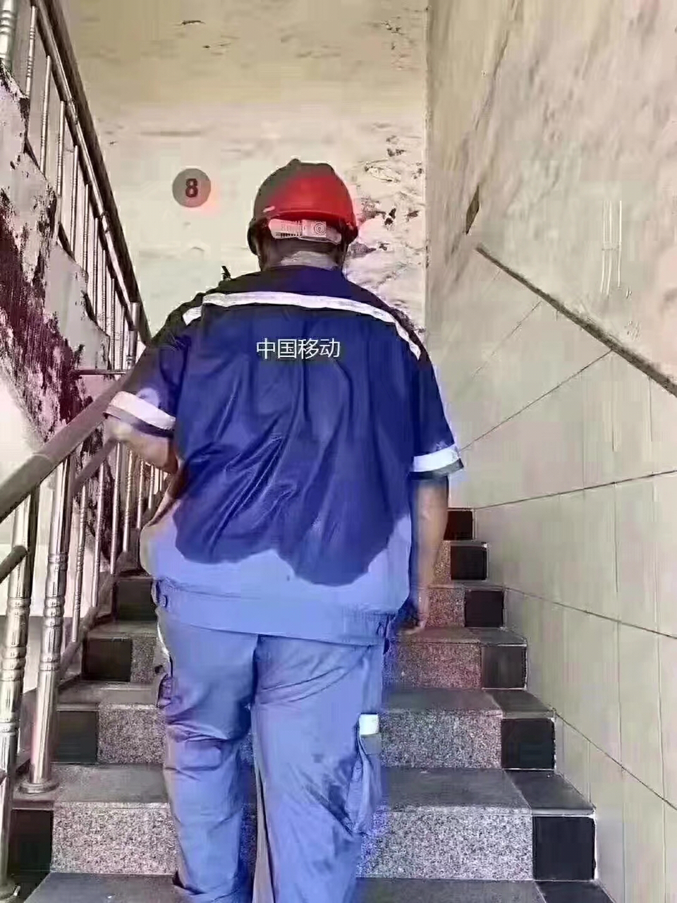 201908131144961565663744813437.jpg