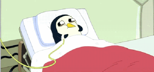 2.gif