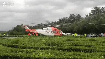b7833820-bd0f-11e9-acd8-8deb953b3251[00_00_00--00_00_05].gif