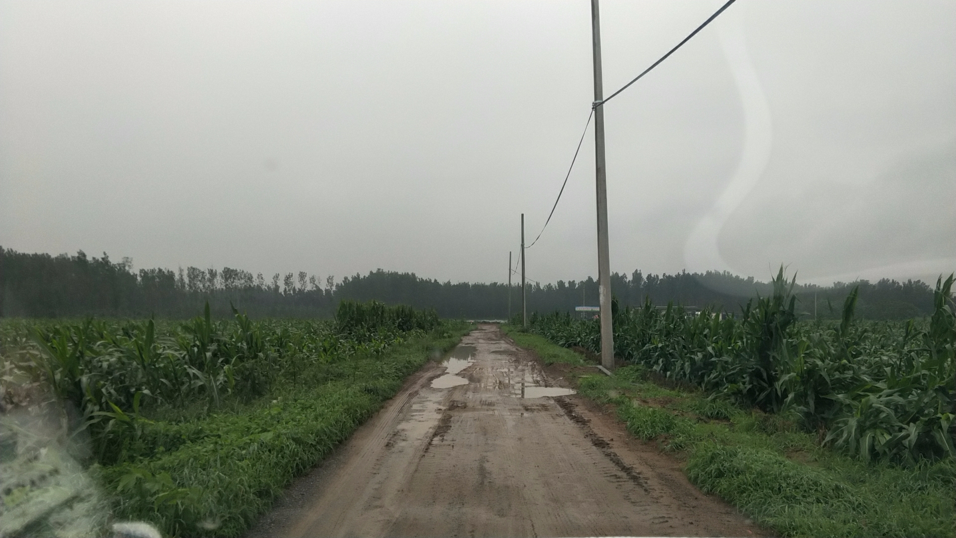 微信图片_20190813170513.jpg