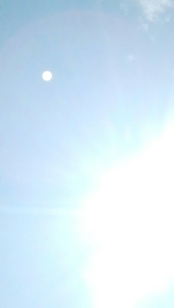 20190814_21376_1565746474500.jpg