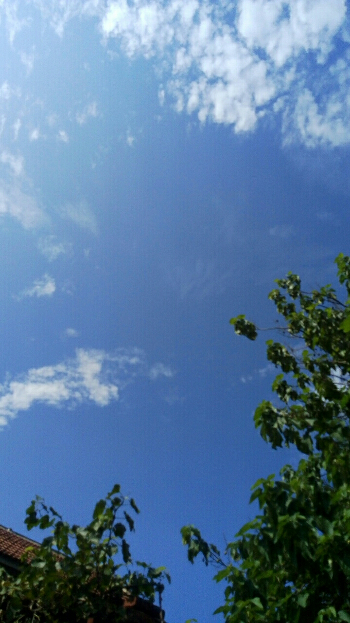 20190814_21376_1565746474773.jpg