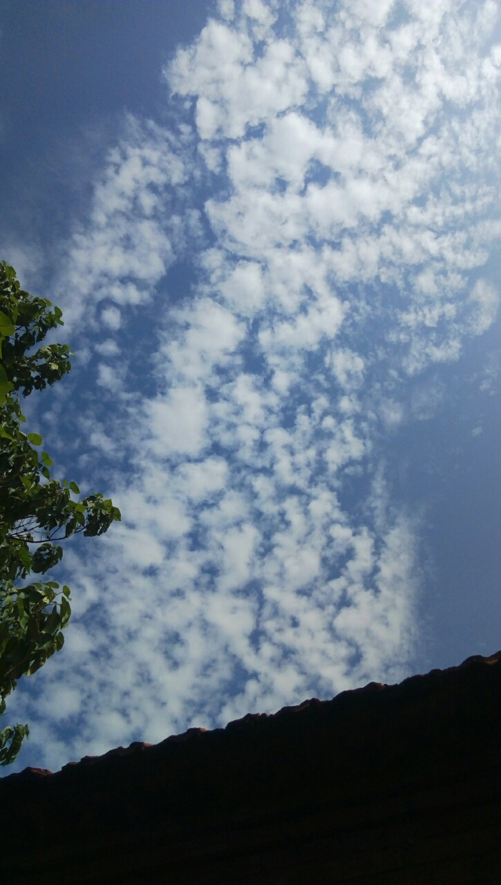20190814_21376_1565746474987.jpg