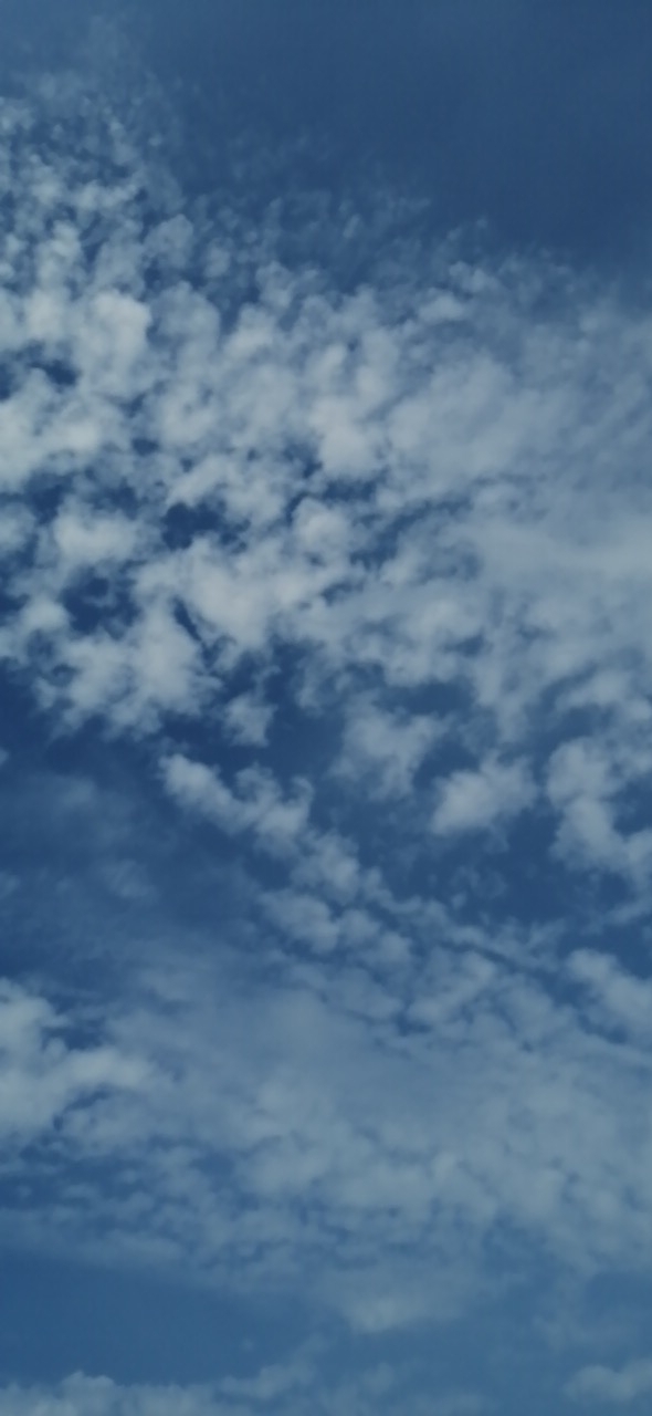 20190814_3085_1565746914740.jpg