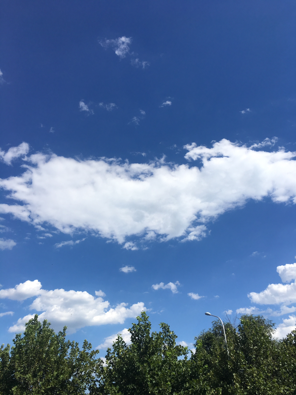 2019081490561156574729623288.jpg