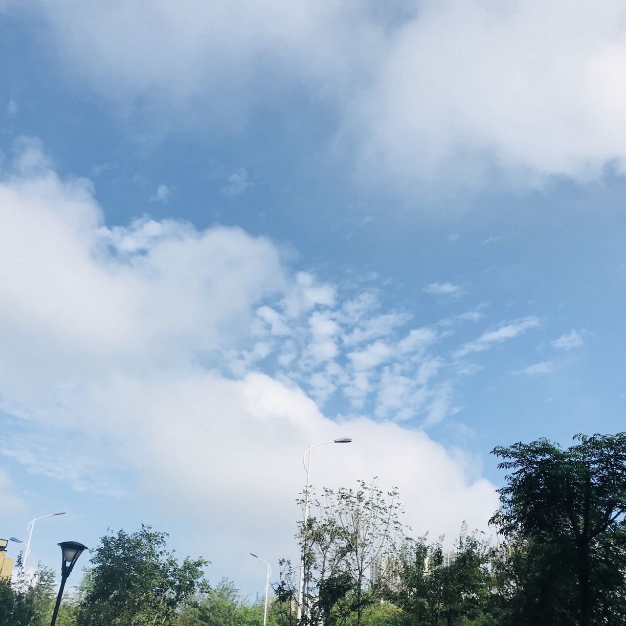 20190814218941565749278906953.jpg