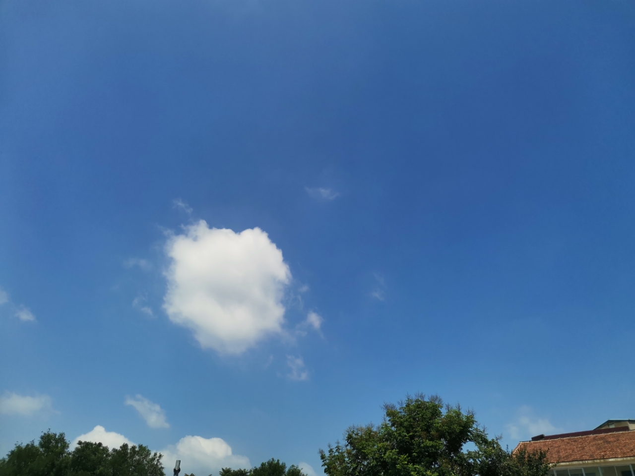 20190814_81136_1565757216858.jpg