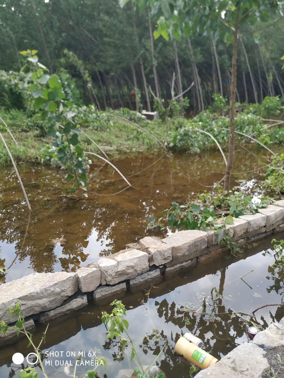 20190814_10574_1565764587137.jpg