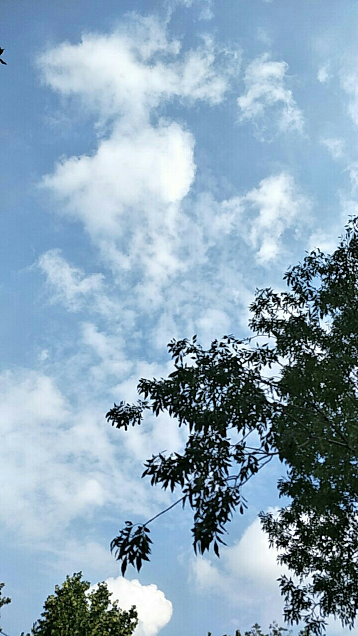 20190814_34836_1565770996487.jpg